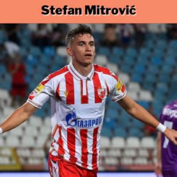 
Who are Stefan Mitrovics Parents? Stefan Mitrovic Biography, Parents Name, Nationality and More 