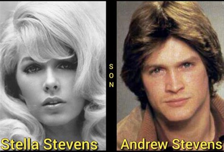 
Who is Herman Andrew Stevens, Stella Stevens’ son? 