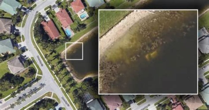 Body Of Missing Florida Man Discovered By Neighbor Using Google Earth